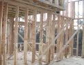 Panels with studs & bracings